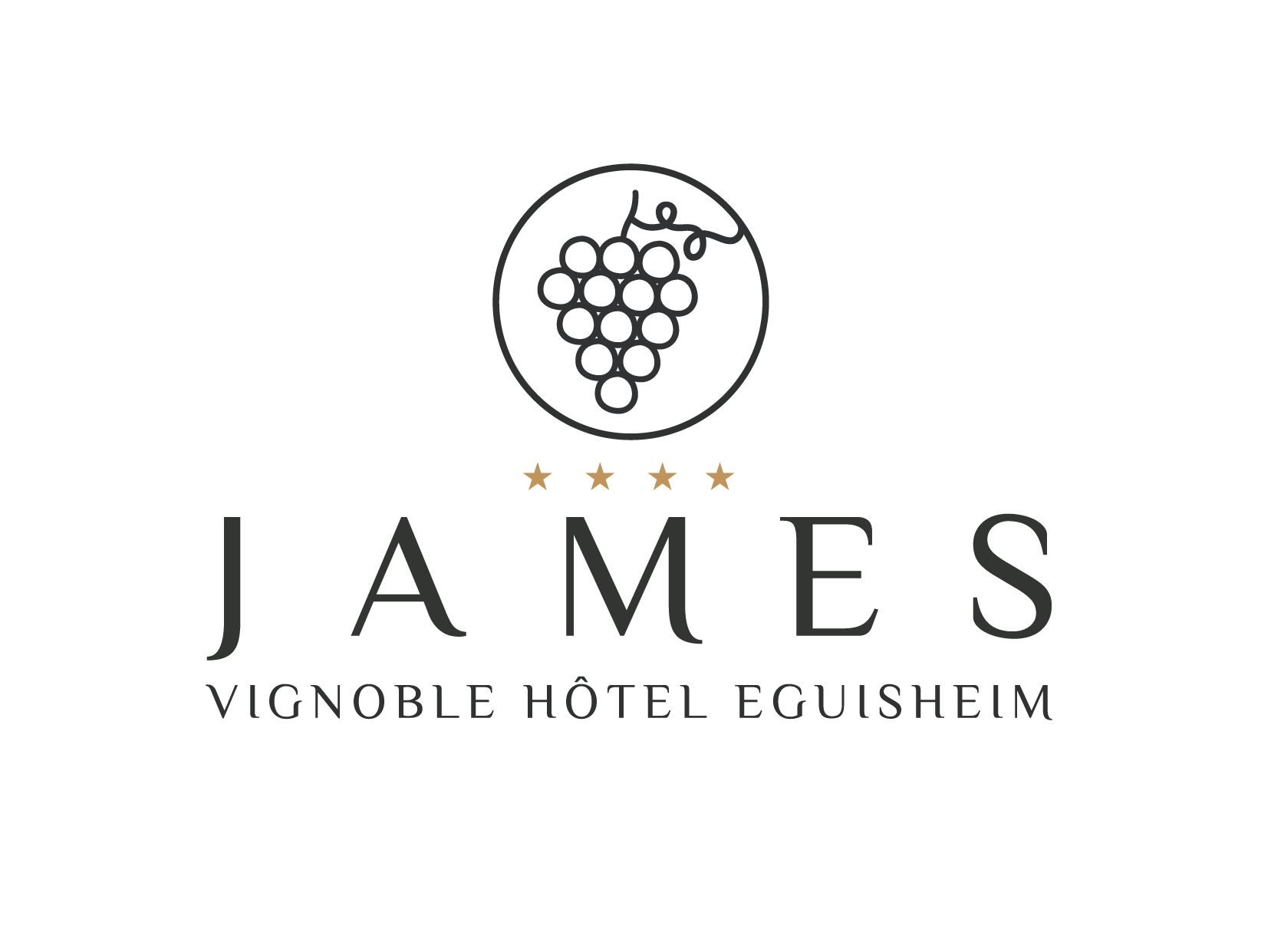 Bienvenue à l'hôtel JAMES VIGNOBLE HOTEL EGUISHEIM****